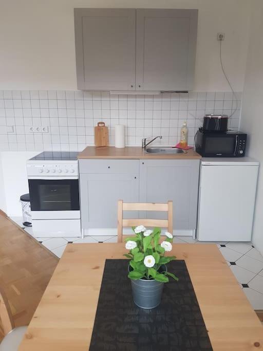 Studio In Dresden Neustadt Louisenstrasse Exteriör bild